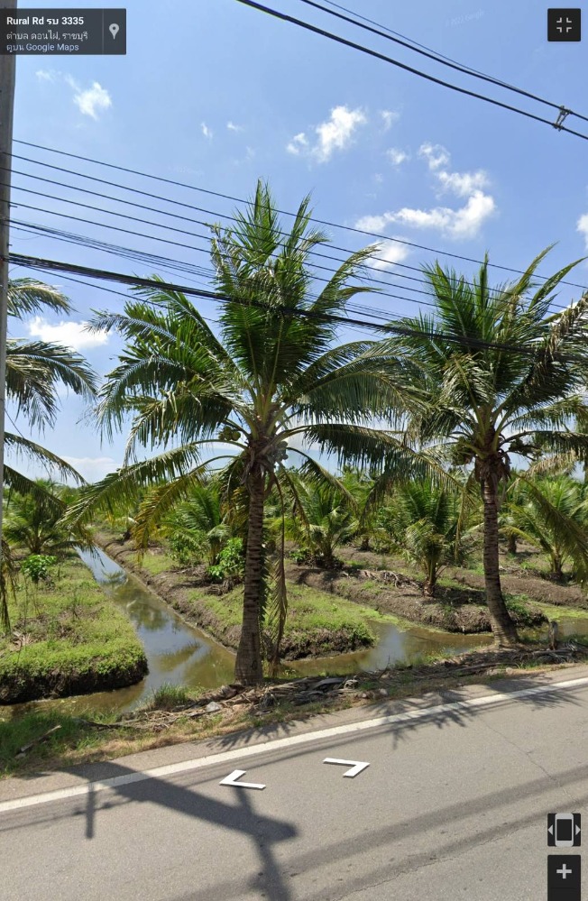 For SaleLandRatchaburi : Selling fragrant coconut plantation, 16.2.98 rai, Lak 5, Damnuensaduka, Ratchaburi