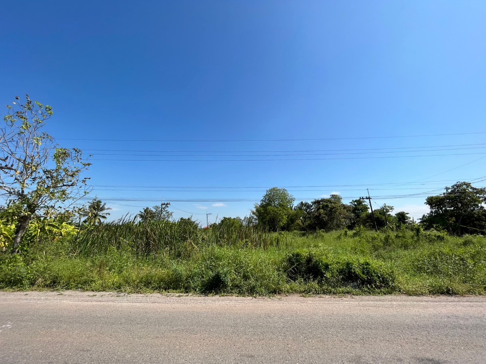 For SaleLandChachoengsao : Land for sale in Bang Nam Priao, Chachoengsao, selling from 40 - 60 square wah.