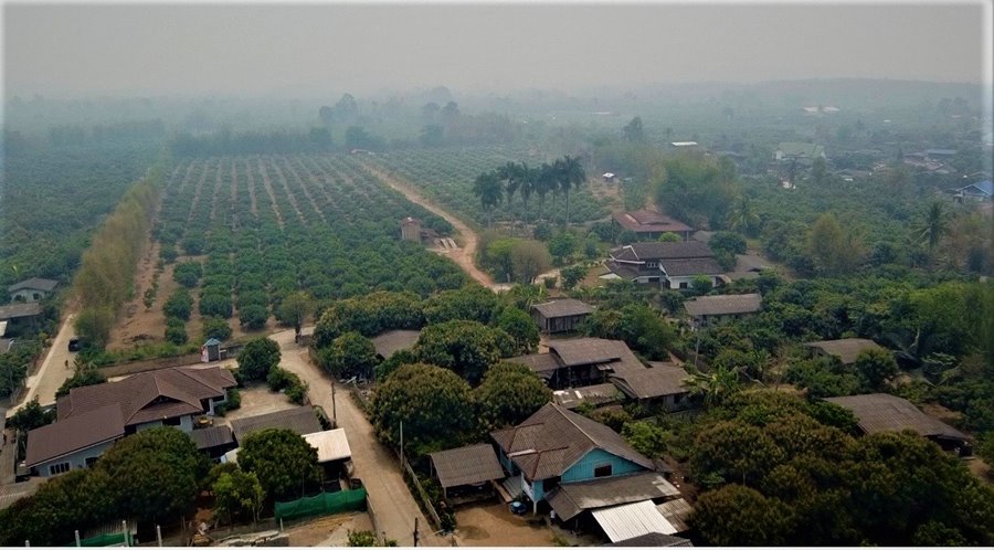 For SaleLandChiang Rai : At a longan garden with a big house on 2 sides of the road, Mae Suai, Si Thoi, Chedi Luang, Chiang Rai, near Asia Road, Saeng Kaew Temple, Mae Suai Dam, Doi Chang, making homestays, farm stays, tourist attractions, restaurants, coffee shops