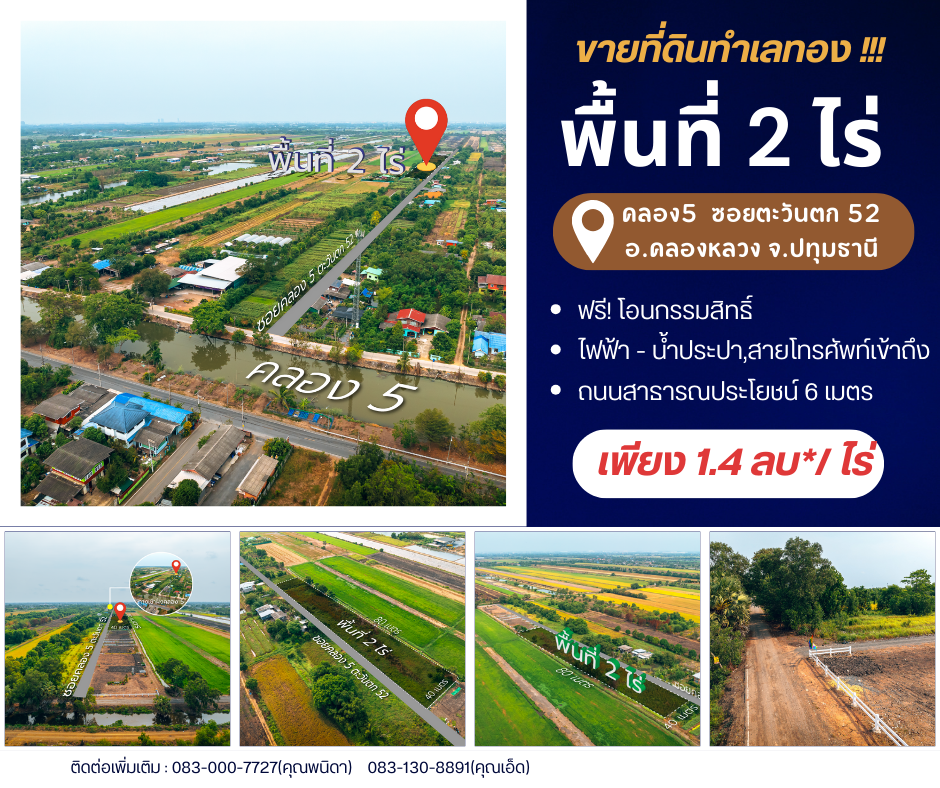 For SaleLandPathum Thani,Rangsit, Thammasat : Land for sale at Khlong Ha Tawan Tok 52, 2 rai, price 1.39 million baht per rai