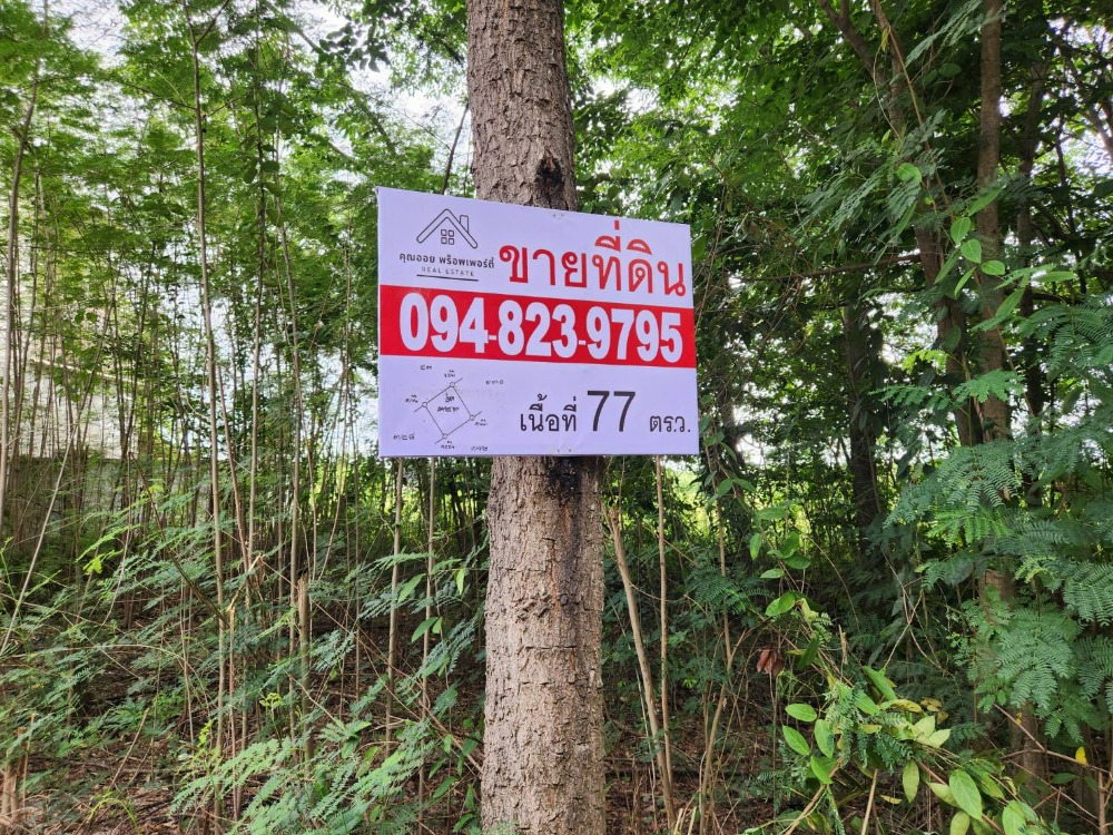 ขายที่ดินปทุมธานี รังสิต ธรรมศาสตร์ : ขายที่ดิน 77 ตรว. ต.ระแหง อ.ลาดหลุมแก้ว จ.ปทุมธานี