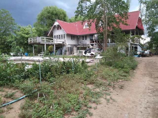 For SaleLandUthai Thani : Land + house for sale 111 rai Ban Rai, Uthai Thani