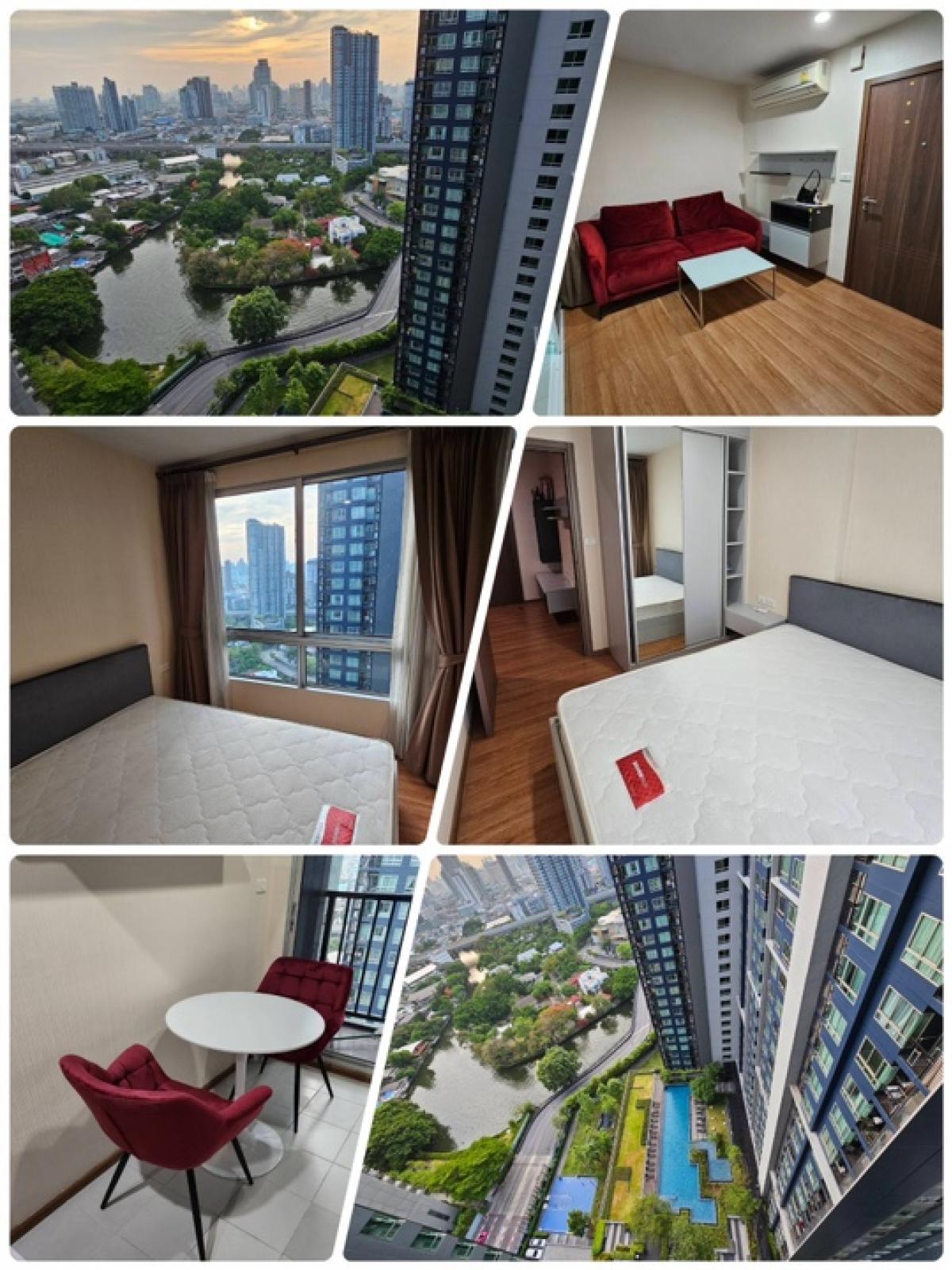 For RentCondoOnnut, Udomsuk : 🔥Secret•DEAL🔥🍀The base 77🍀Fully FURNISHED🟡30 SQM•🟡Floor 25