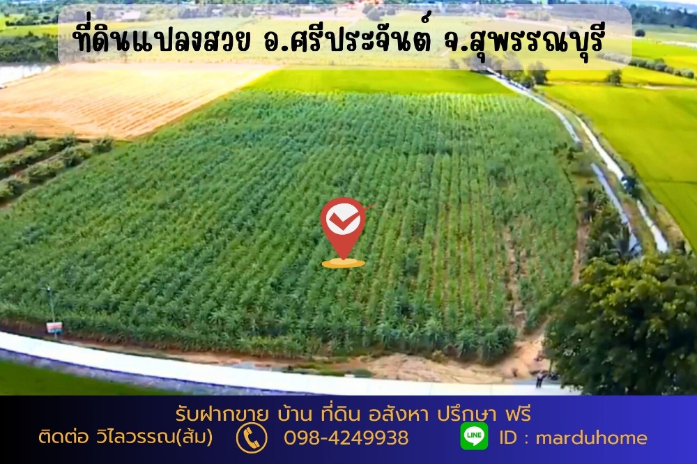 For SaleLandSuphan Buri : Beautiful land 9 rai 3 ngan 5.3 square wah, Don Pru Subdistrict, Sri Prachan District, Suphan Buri Province, next to public roads, suitable for farming, planting a house in retirement.