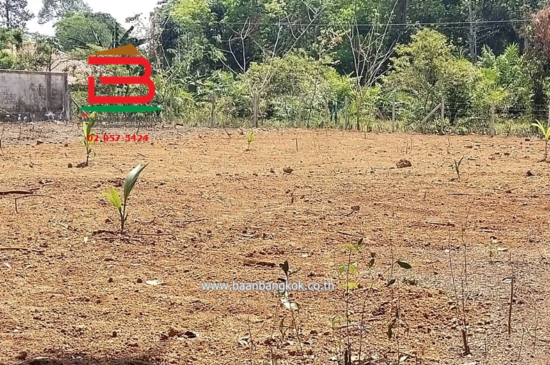 For SaleLandPhatthalung : Empty land, Khuan Khanun District, area 2-1-50 rai, Khuan Khanun-Phatthalung Road, Khuan Khanun District, Phatthalung Province.