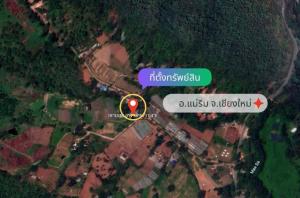 For SaleLandChiang Mai : Quick sale, beautiful plot of land, total area 1 ngan 91 square wah, located in the midst of beautiful nature, Pong Yang Subdistrict, Mae Rim District, Chiang Mai Province.