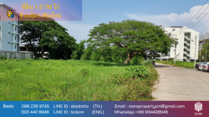 For SaleLandChiang Mai : Property id141ls Land for sale in ChangPuek 0-0-52Rai  near Rajabhat Chiangmai