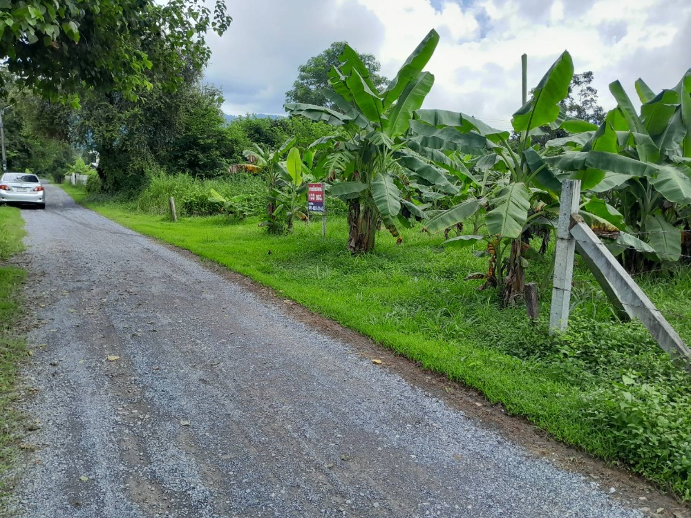 For SaleLandNakhon Nayok : Land for sale 113 square wa. Near Ban Dong Temple, Nakhon Nayok, only 50 meters from Ban Dong Temple Road.