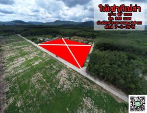 For RentLandRayong : There are many plots of land for rent in Rayong.