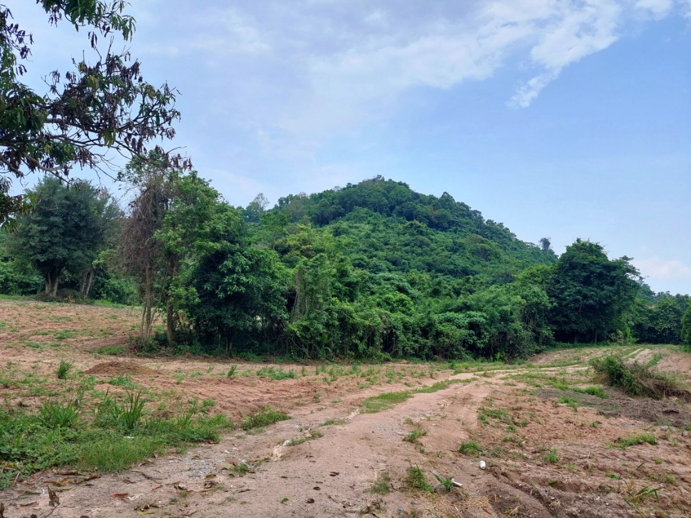 For SaleLandSriracha Laem Chabang Ban Bueng : Land for sale, title deed 41-1-65 rai (16,565 sq m., 5,750 baht per rai (2,300,000 million baht per rai), Nong Kham Subdistrict, Sri Racha District, Chonburi