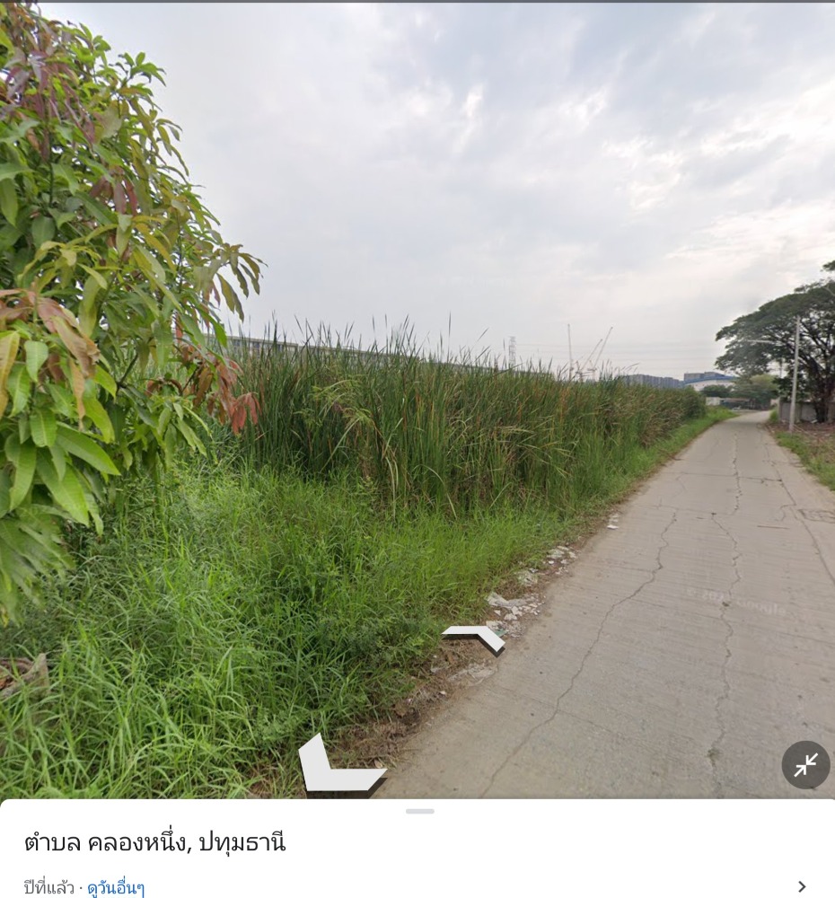 For RentLandPathum Thani,Rangsit, Thammasat : Land for rent, Hongsakul, 2 rai 12 sq m.