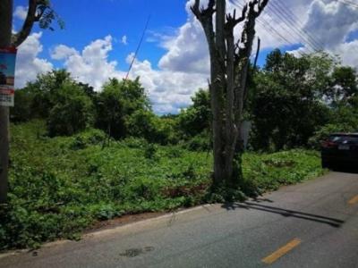 For SaleLandChiang Mai : Land for sale, Saraphi District, Chiang Mai Province. Near the Ping River, there is a title deed, 2 rai 3 square wa.