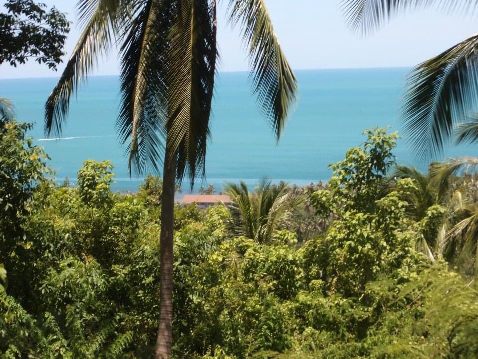 For SaleLandKoh Samui, Surat Thani : Land for sale, 3 rai, Thawirat Phakdi Road, Maret, Koh Samui, Surat Thani.