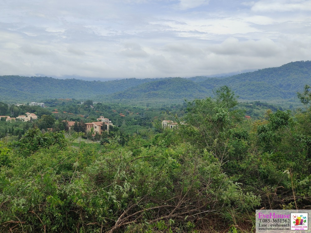 ขายที่ดินปากช่อง เขาใหญ่ : ขาย ที่ดิน เขาใหญ่  ใกล้ InterContinental Khao Yai Resort สวอนเลค ที่ดินเป็นโฉนด วิวเขาใหญ่ พานอราม่า สวยมาก  ที่ดินเป็นเนินสูง ต่ำ วิว 360 องศา ขนาด 80 ไร่ ขายไร่ละ 5.2 ล้าน รวม 416 ล้านบาท