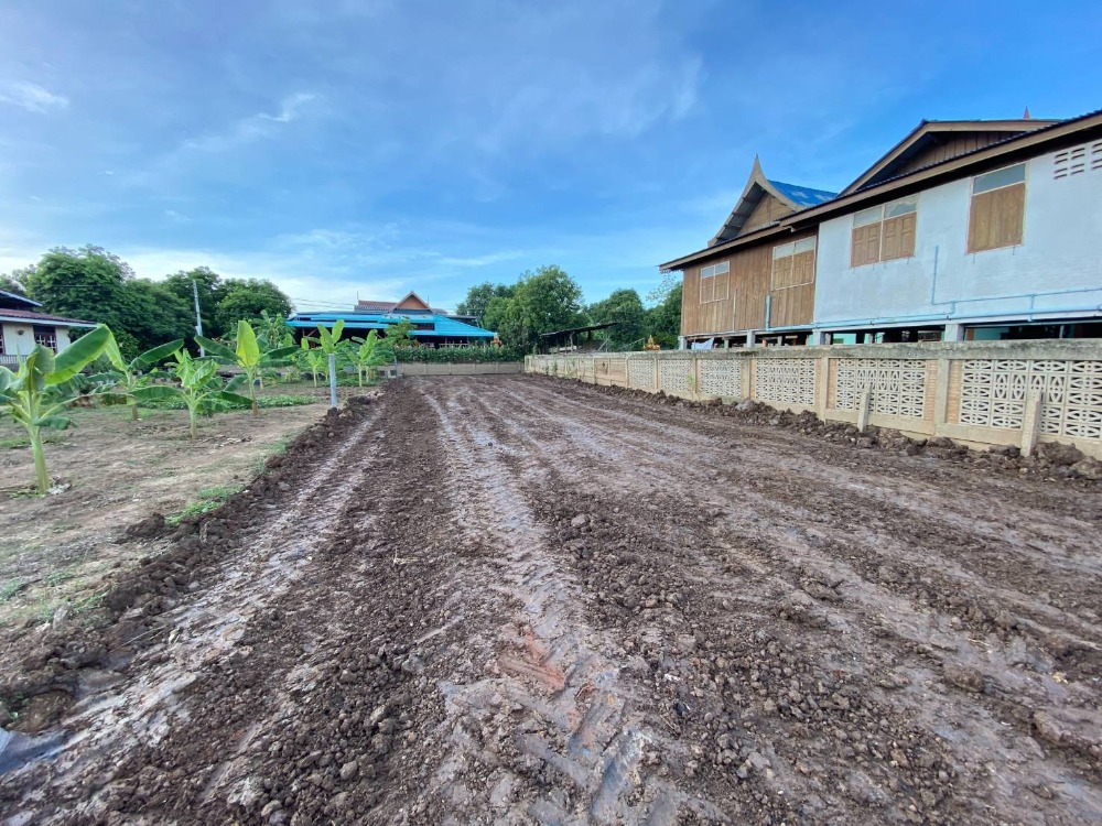 For SaleLandAyutthaya : Land for sale next to the Chao Phraya River, 103 square wa. There is more than 20 square wa. The width of the road is 9.5 meters.