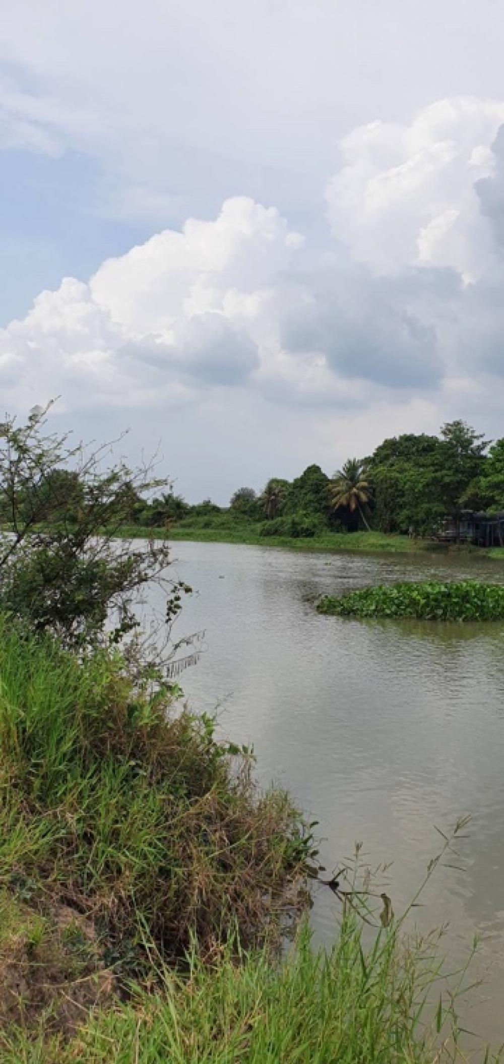 For SaleLandPrachin Buri : The owner really wants to sell, is hungry for money, land for sale, title deed, 8 rai, 1,700,000 baht.