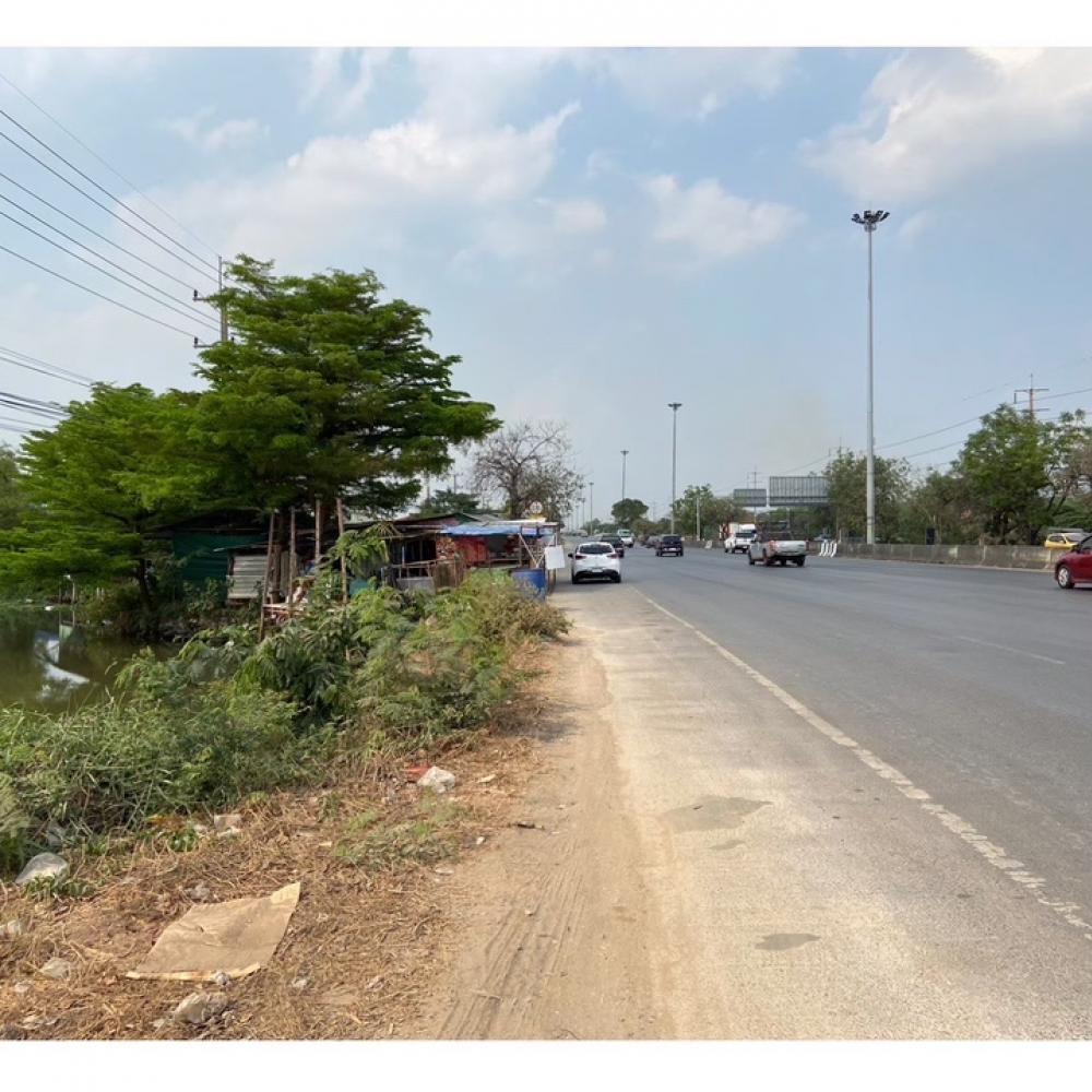 For RentLandPathum Thani,Rangsit, Thammasat : Land for rent on the main road, Sam Khok, Pathum Thani.