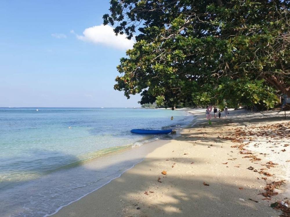 ขายที่ดินพังงา : ขายที่ดินเปล่าพังงา หาดพรุใน เกาะยาวใหญ่ ติดทะเล ติดโรงแรม 5 ดาว 26-0-14.5 ไร่ ที่ดินมีเอกสารสิทธ์ 150 ล้านบาท