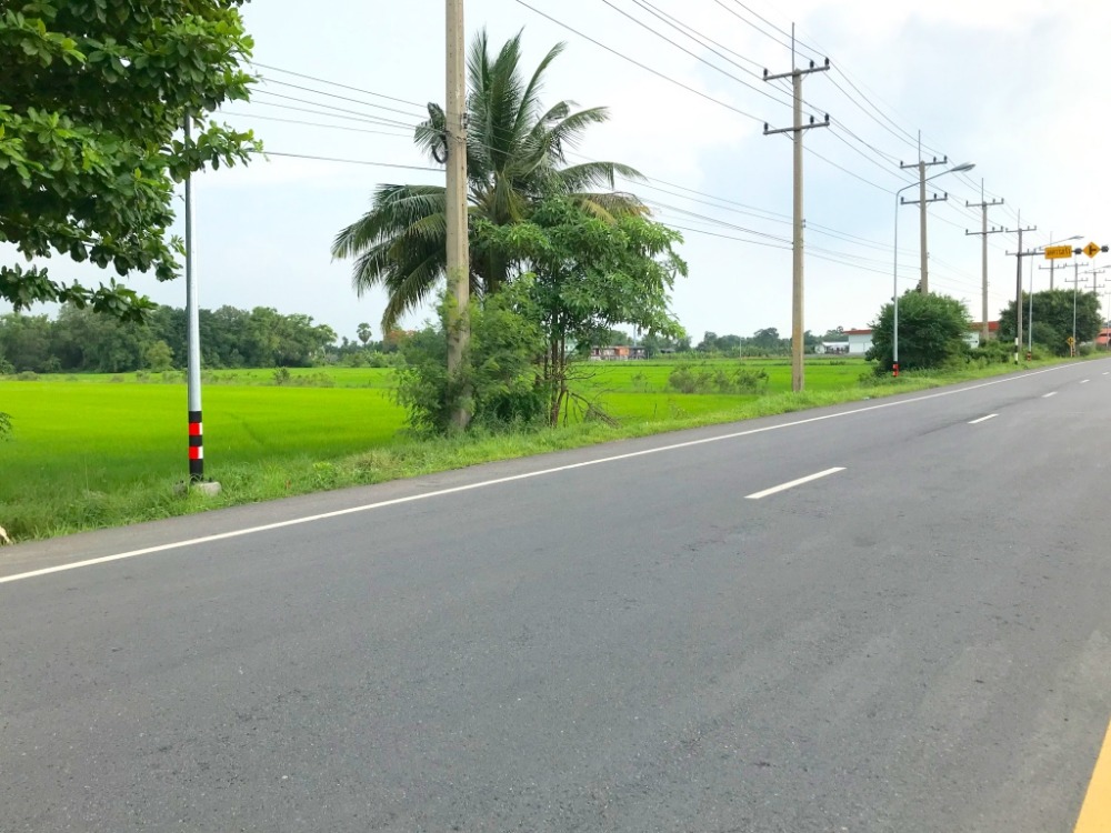 ขายที่ดินปทุมธานี รังสิต ธรรมศาสตร์ : ที่ดินติดถนนลำลูกกา 49 ไร่ หน้าติดถนน 4 เลน ด้านหลังติดคลอง แปลงสวย อยู่ช่วงลำลูกกาคลอง 14