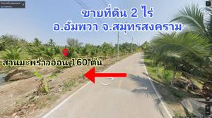 For SaleLandSamut Songkhram : Land for sale 2 rai with young coconut plantations, Amphawa District, Samut Songkhram Province.