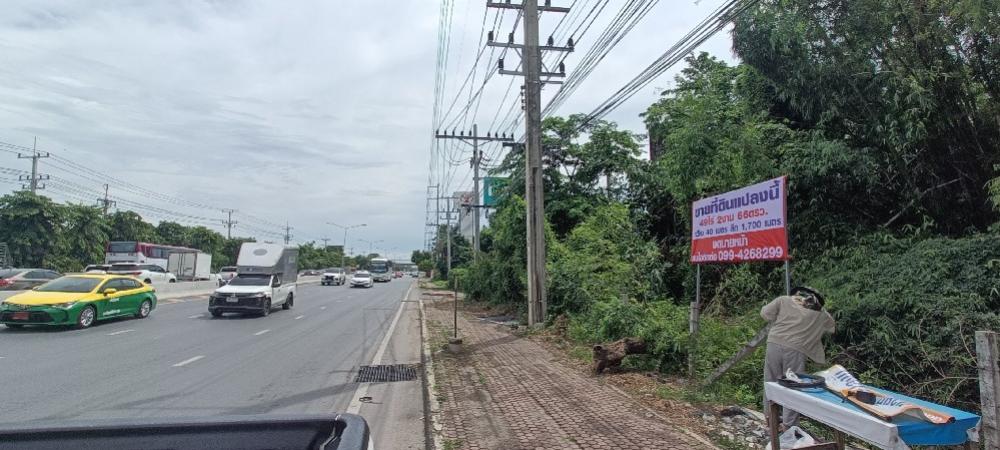 ขายที่ดินปทุมธานี รังสิต ธรรมศาสตร์ : ขายที่ดินติด ถนน รังสิต-นครนายก ปทุมธานี อ.ธัญบุรี คลอง7 ใกล้กับโลตัส โตโยต้าชัวร์