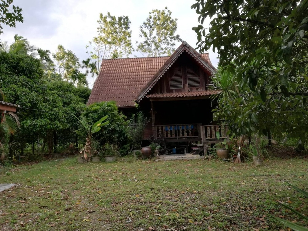 For SaleLandNakhon Si Thammarat : Land for sale near Khiri Wong village.