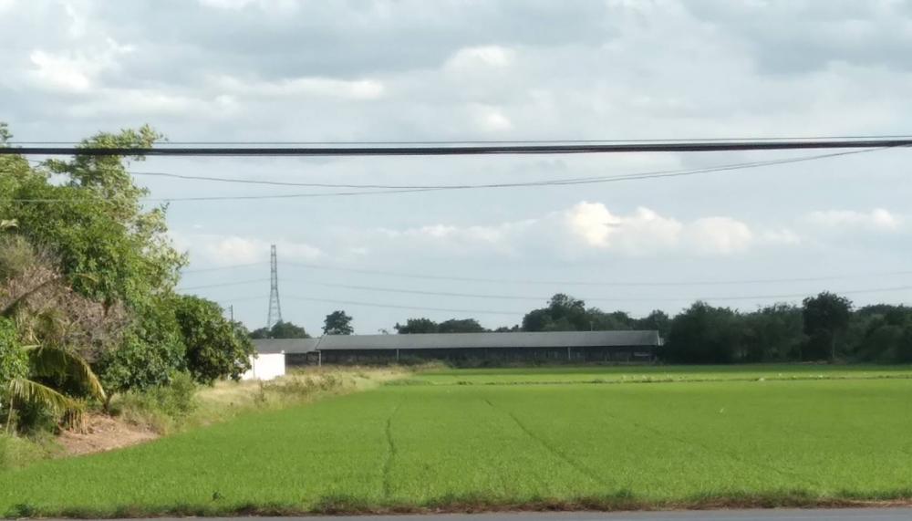 For SaleLandNakhon Pathom : Land for sale next to Bang Len-Don Tum Road.