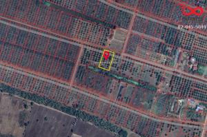 For SaleLandPhetchabun : Land for sale, 1 rai 337 square wah, near Dong Kui Market, Chon Daen District, Phetchabun.