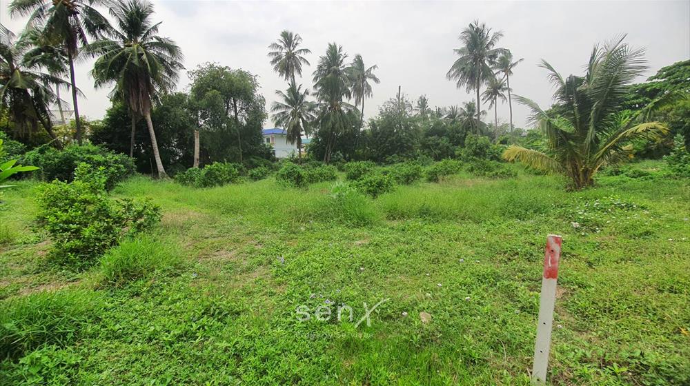 For SaleLandEakachai, Bang Bon : Land for sale 700 sq.wa. near Rama 2 Road, only 1 km.