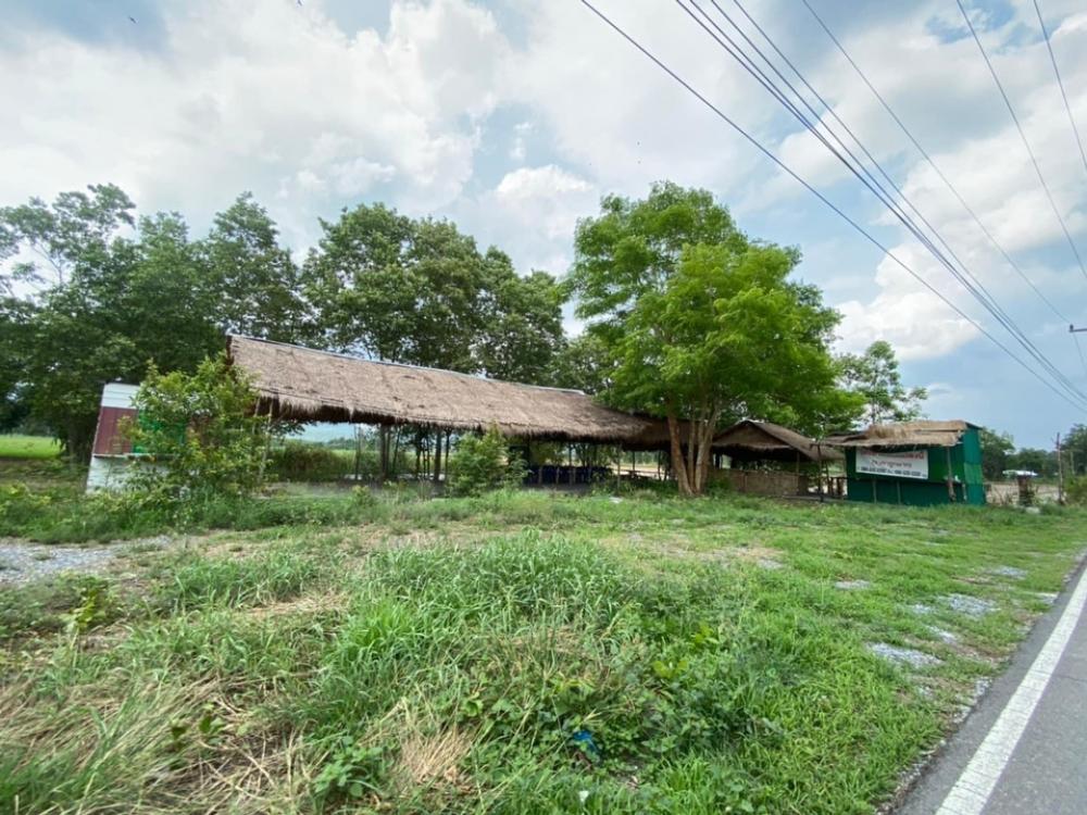 For RentLandSaraburi : Land for rent 1 rai