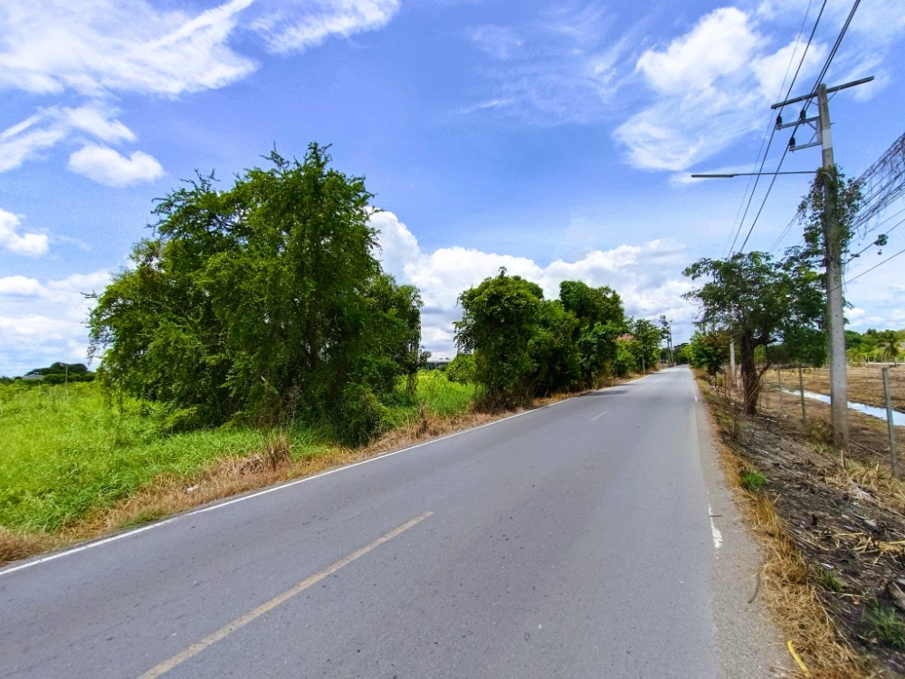 ขายที่ดินปทุมธานี รังสิต ธรรมศาสตร์ : ขาย ที่ดิน 1 ไร่ ต.ระแหง อ.ลาดหลุมแก้ว ปทุมธานี ติดถนนเทศบาล ใกล้โรงเรียนวัดลาดหลุมแก้ว