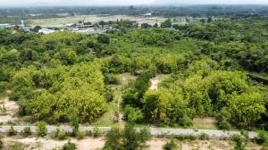 For SaleLandChiang Mai : Land for sale with teak trees, 28 rai 66 sq m., Chom Thong District, Chiang Mai Province