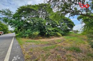 For SaleLandPathum Thani,Rangsit, Thammasat : Land for sale, 30 rai 1 ngan 31 square wah, Nong Suea, Pathum Thani Highway Road 3007