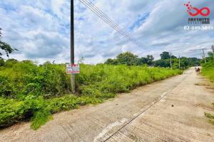 For SaleLandSaraburi : Land for sale 200 square wah, Mittraphap Road, Soi Wua Yim, Saraburi.