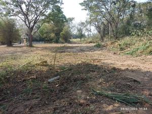 For SaleLandChiang Mai : Land for Sale - Riverside Land, San Sai, Chiang Mai