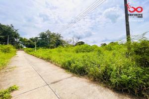 For SaleLandSaraburi : Land for sale, 539 square wah, Muak Lek, Soi Wua Yim, Mittraphap Road.