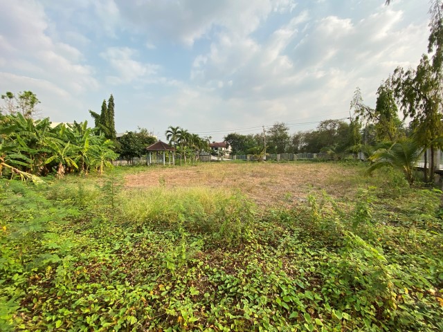 For RentLandNonthaburi, Bang Yai, Bangbuathong : Land for long-term lease, Bang Yai, 7 rai, on Kanchanaphisek Road. (near Soi Kantana)