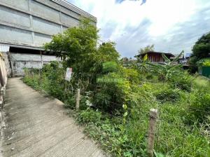 For SaleLandRama5, Ratchapruek, Bangkruai : Land for sale, Soi Wat Si Rueang Boon, Plai Bang, Bang Kruai, Nonthaburi, area 100 sq m, good location, near Kanchanaphisek Road.