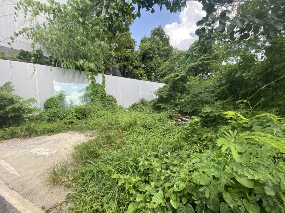 For SaleLandYothinpattana,CDC : ❤️❤️2 plots of land for sale, location along Ramintra Expressway, interested line/tel 0859114585 ❤️❤️Enter Chic Republic (chic republic) Yothin 7, Soi Yothin Phatthana (Sakorn 1), near Ramintra Expressway, near The Crystal Ekkamai, Ramintra, near Phothala