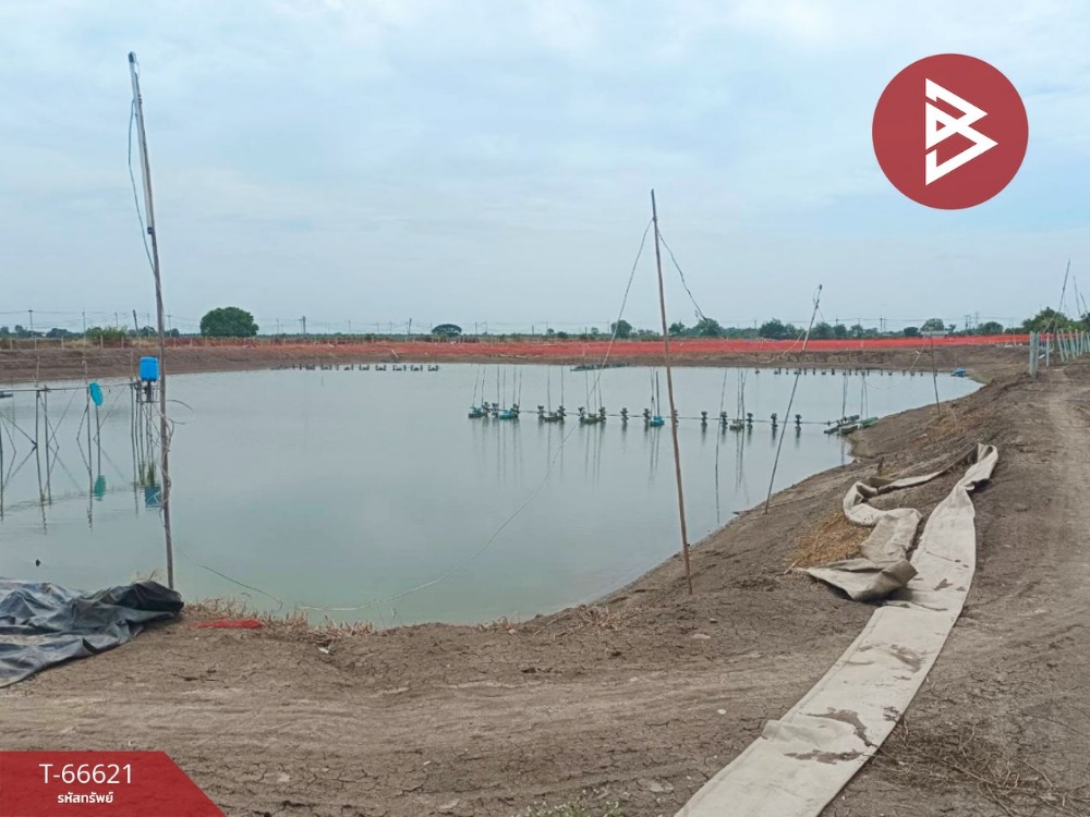 For SaleLandAyutthaya : Sale of land with business Shrimp Pond - Fish Pond Lat Bua Luang Phra Nakhon Si Ayutthaya