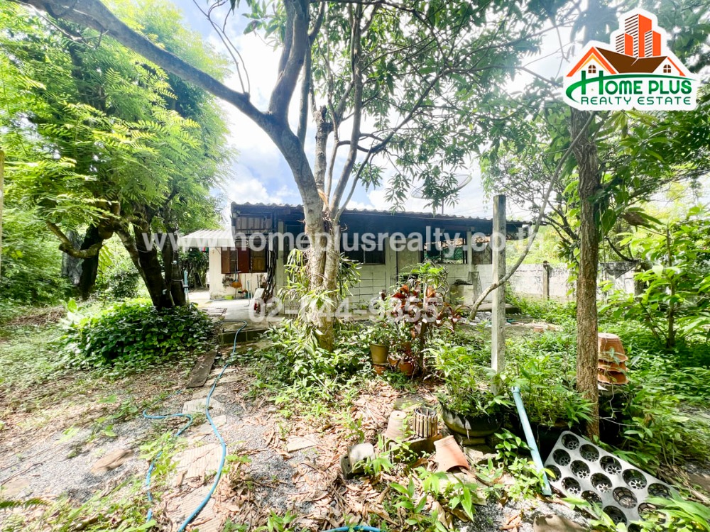 For SaleLandSaraburi : Land with a single-storey house in Nong Suang Subdistrict Wihan Daeng District, Saraburi (near Wihan Daeng Temple)