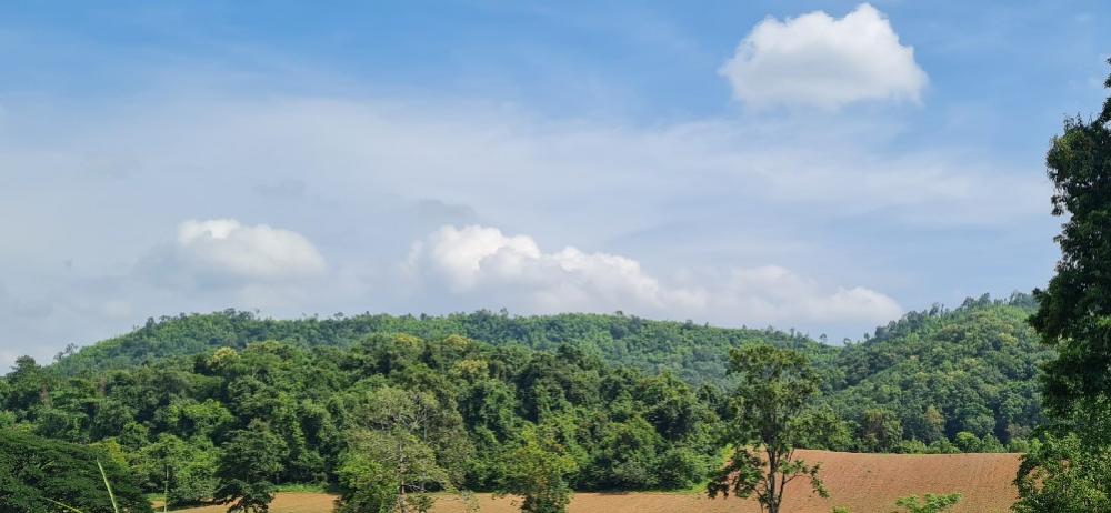 For SaleLandSaraburi : Urgent sale, beautiful land next to Khao Yai, very good price, over 8 rai, good environment. Convenient location can enter and exit in many ways