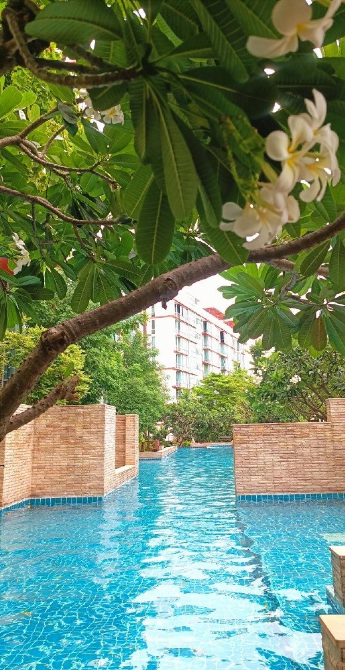 For SaleCondoPattanakan, Srinakarin : For sell condo the iris Rama9, foreigner quota