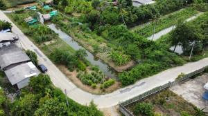 For SaleLandNonthaburi, Bang Yai, Bangbuathong : Land for sale, 1 ngan, 71 sq.wa., Soi Wat Som Kliang, Bang Yai