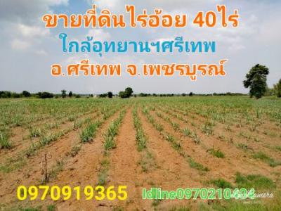 For SaleLandPhetchabun : Land for sale, 39 rai 3 ngan 80 sq m, near Si Thep Historical Park, Phetchabun.