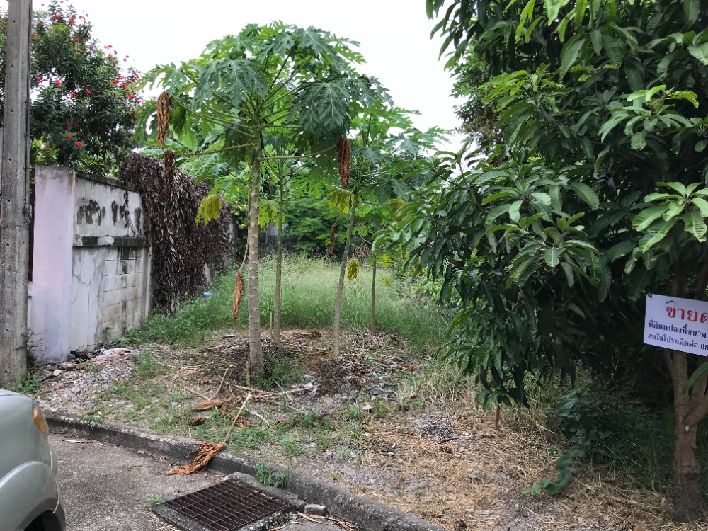 For SaleLandMin Buri, Romklao : **Urgent** Land for sale In the village of Krisada Nakhon 25, size 138 sq m.