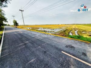 For SaleLandAyutthaya : Agricultural land for sale, rice farming, with natural water sources, next to the road, Lak Chai area, Lat Bua Luang, Ayutthaya: 20 rai : CODE NN-91009