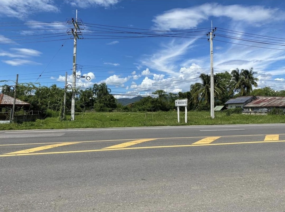 For SaleLandPhayao : Empty land for sale, good location, cheap price