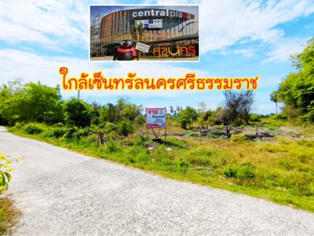 For SaleLandNakhon Si Thammarat : Land for sale, land near Central Nakhon Si Thammarat, land 6 rai 82.8 sq m, suitable for making a garden house near the city. It takes only 5 minutes to enter the city.