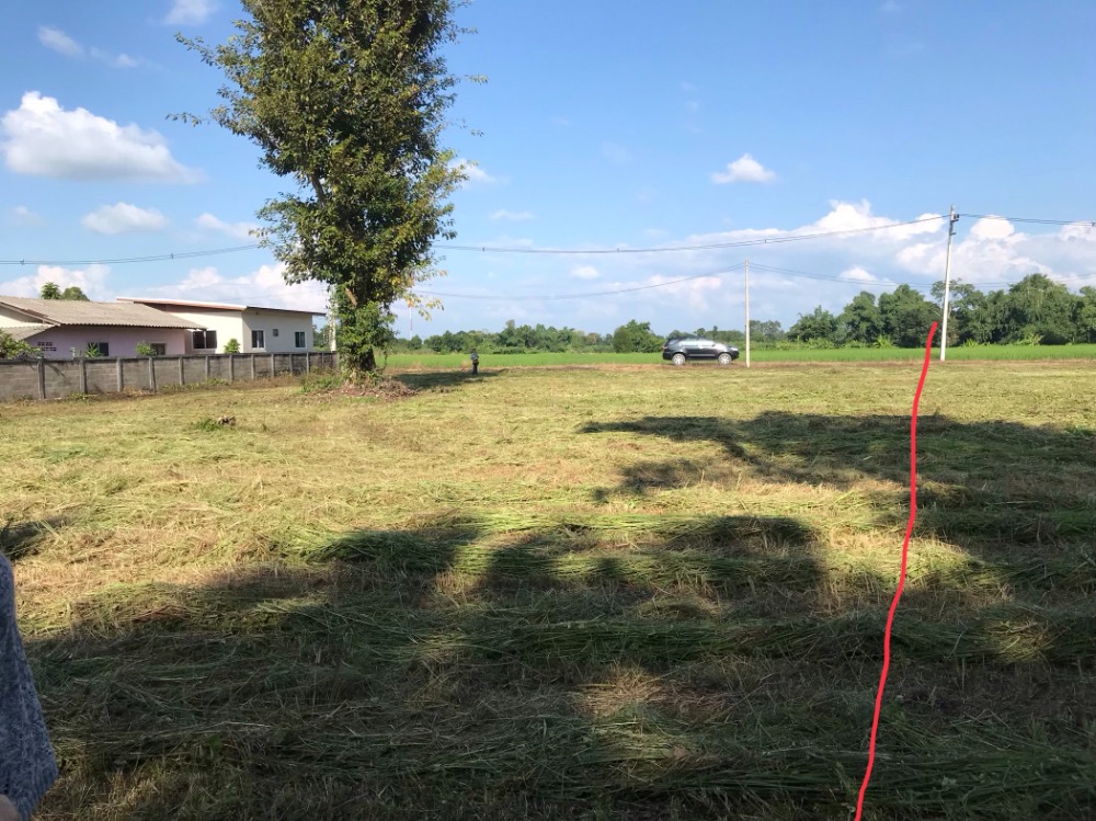 For SaleLandChiang Rai : Sale of empty land ready to build a house, Mae Chan District, Chiang Rai, very beautiful.